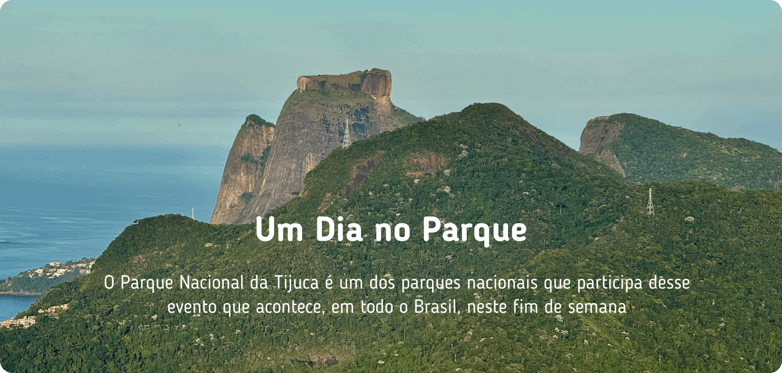 2_Destaques da home do site