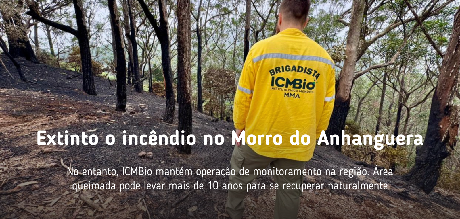 Destaques da home do site (16)