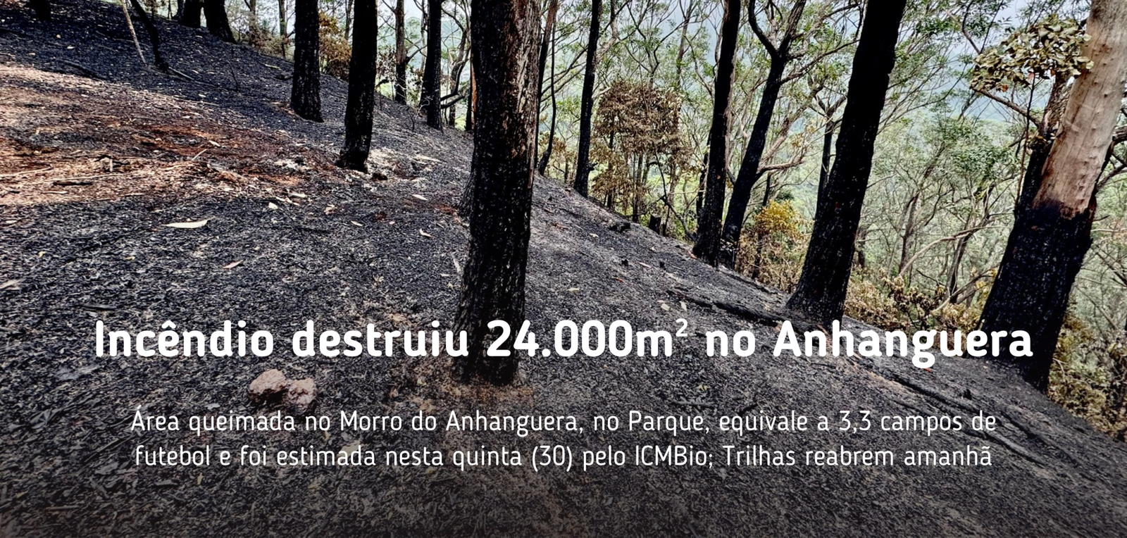 Destaques da home do site (17)