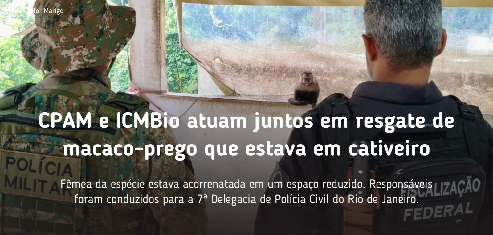 Destaques da home do site (20)