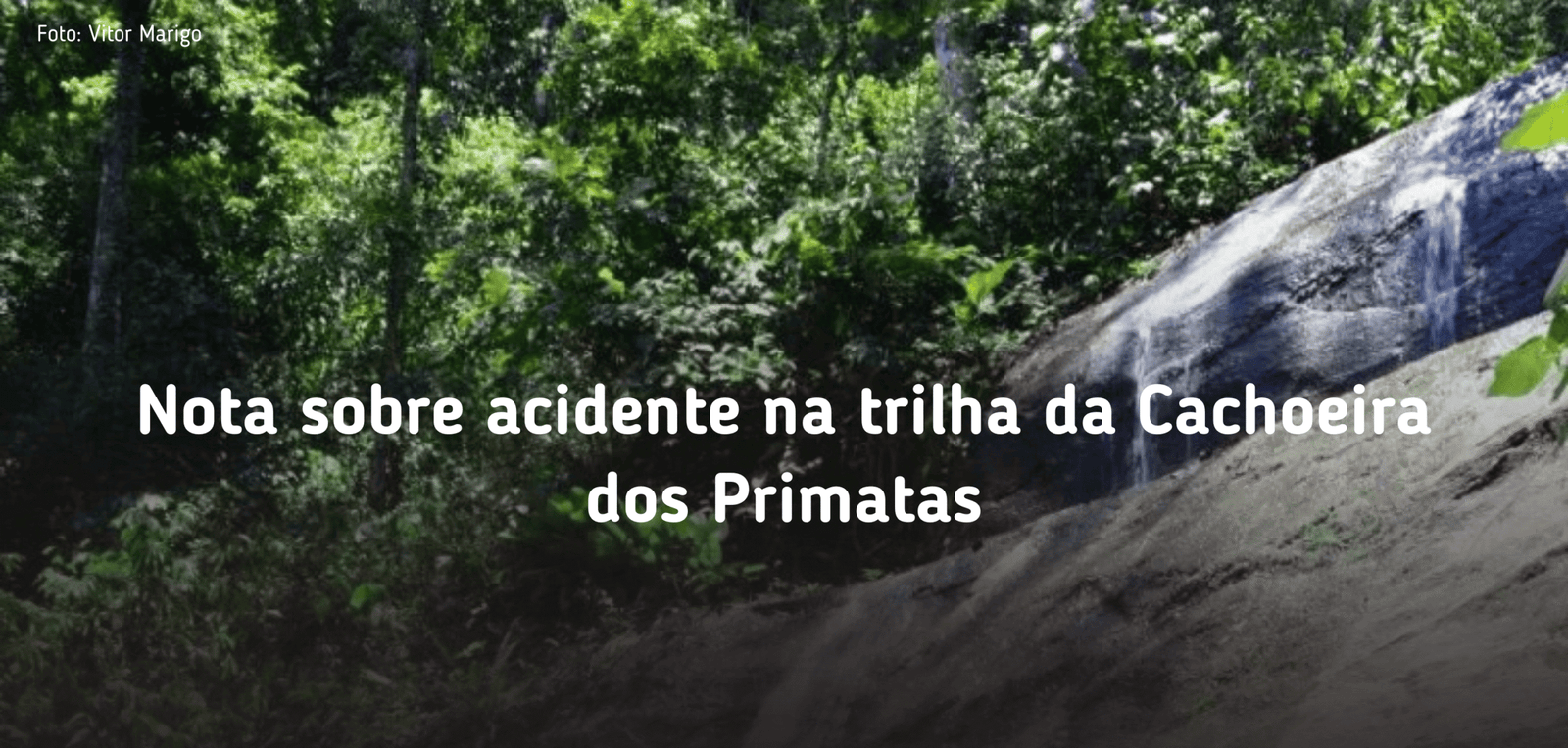 Destaques da home do site (21)
