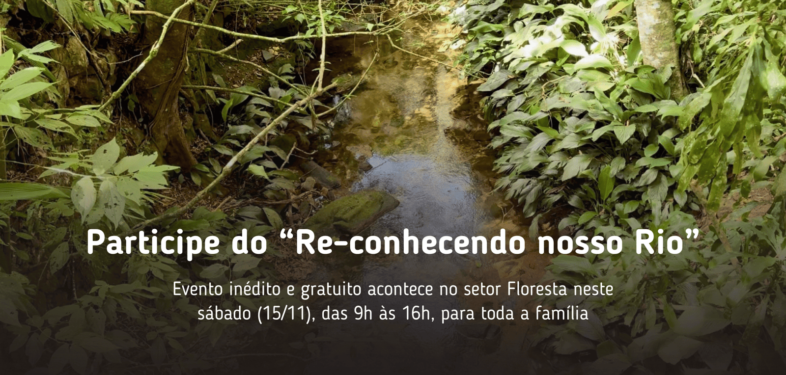 Destaques da home do site (3)