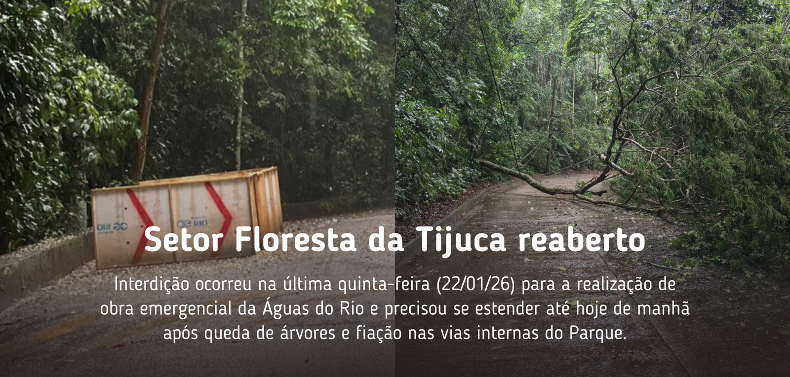 Destaques da home do site (7)